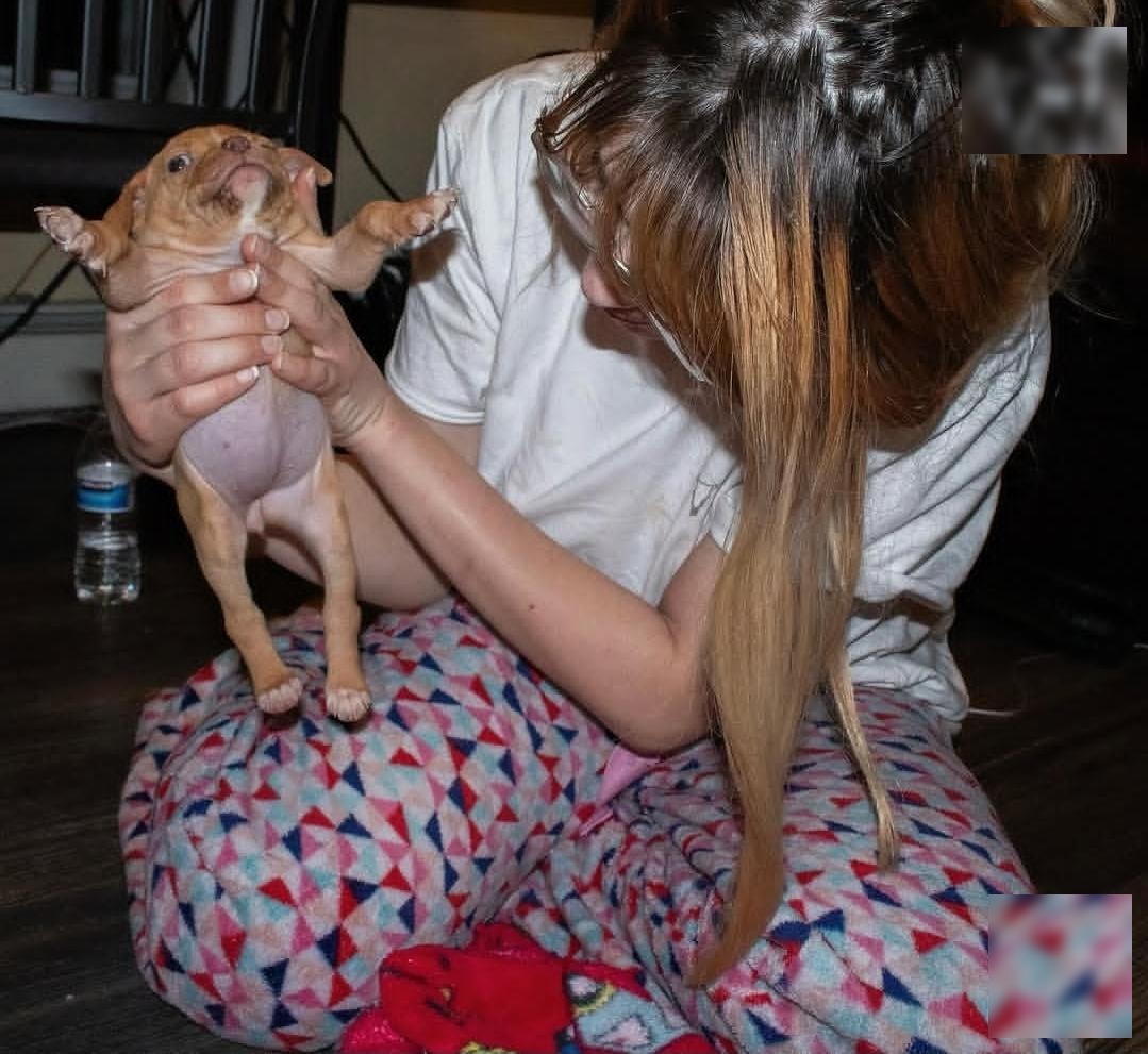 Puppy Ivy being held up by her owner on her birthday